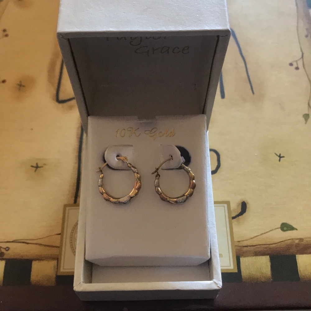 Tricolor Hoop Earrings